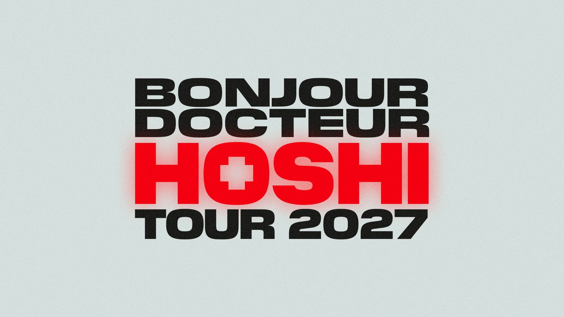 Concert hoshi lyon ldlc arena janvier