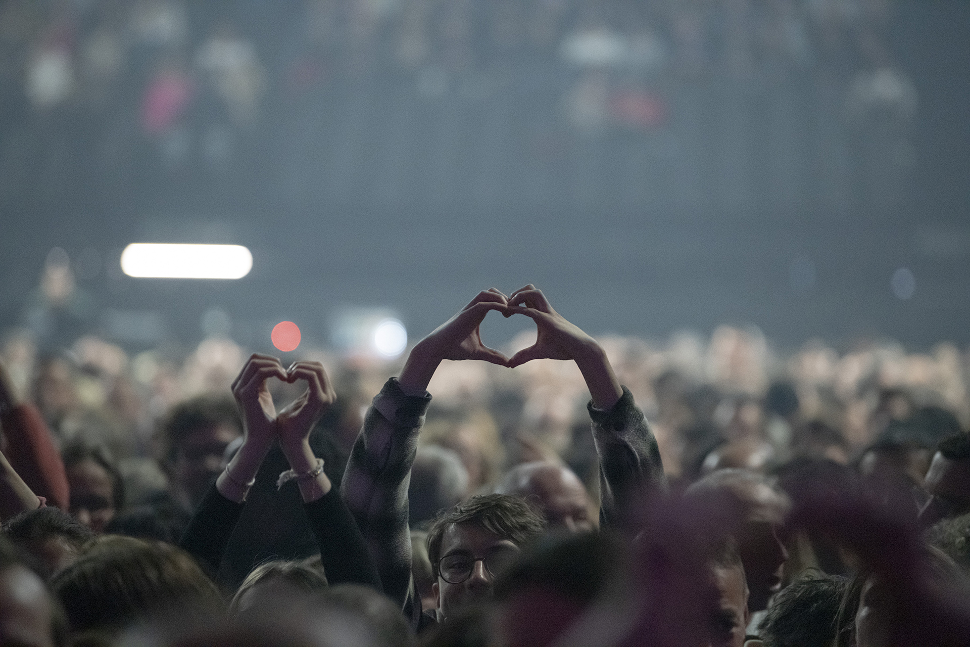 experience spectateurs foule LDLC Arena