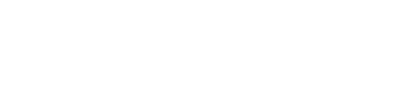 The Village partenaire shopping LDLC Arena